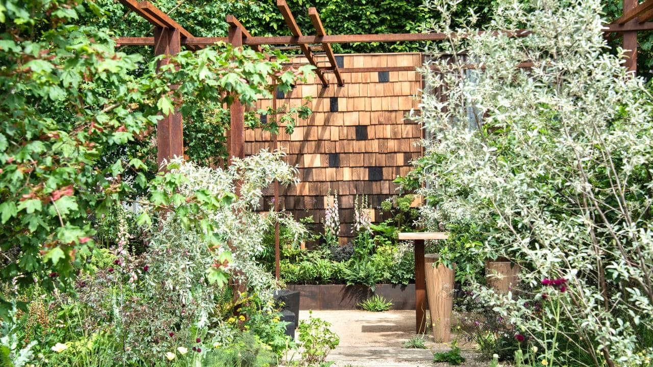 Think Twice Before You Prune These Plants in June – You Could Sacrifice This Year's Flowers and Next Year's Growth