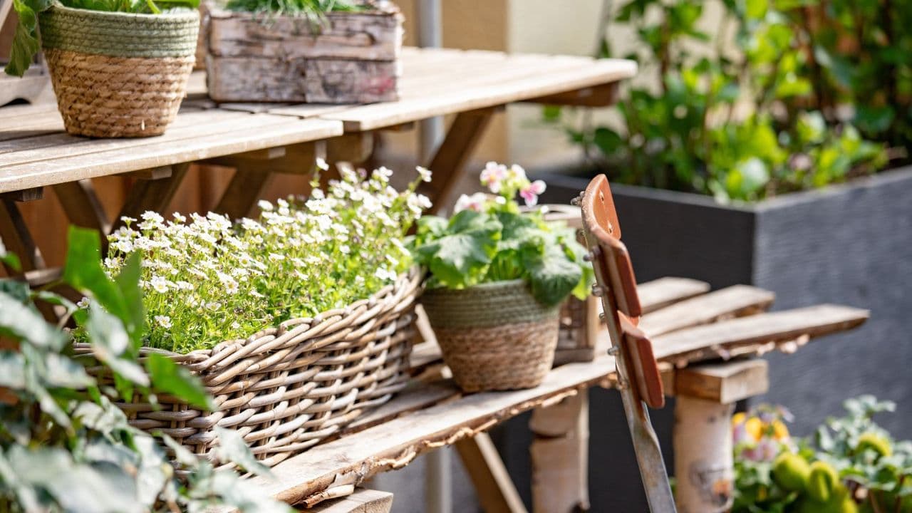 ALDI's New Rattan Planters: Timeless, Durable, and Effortlessly Chic for Your Garden