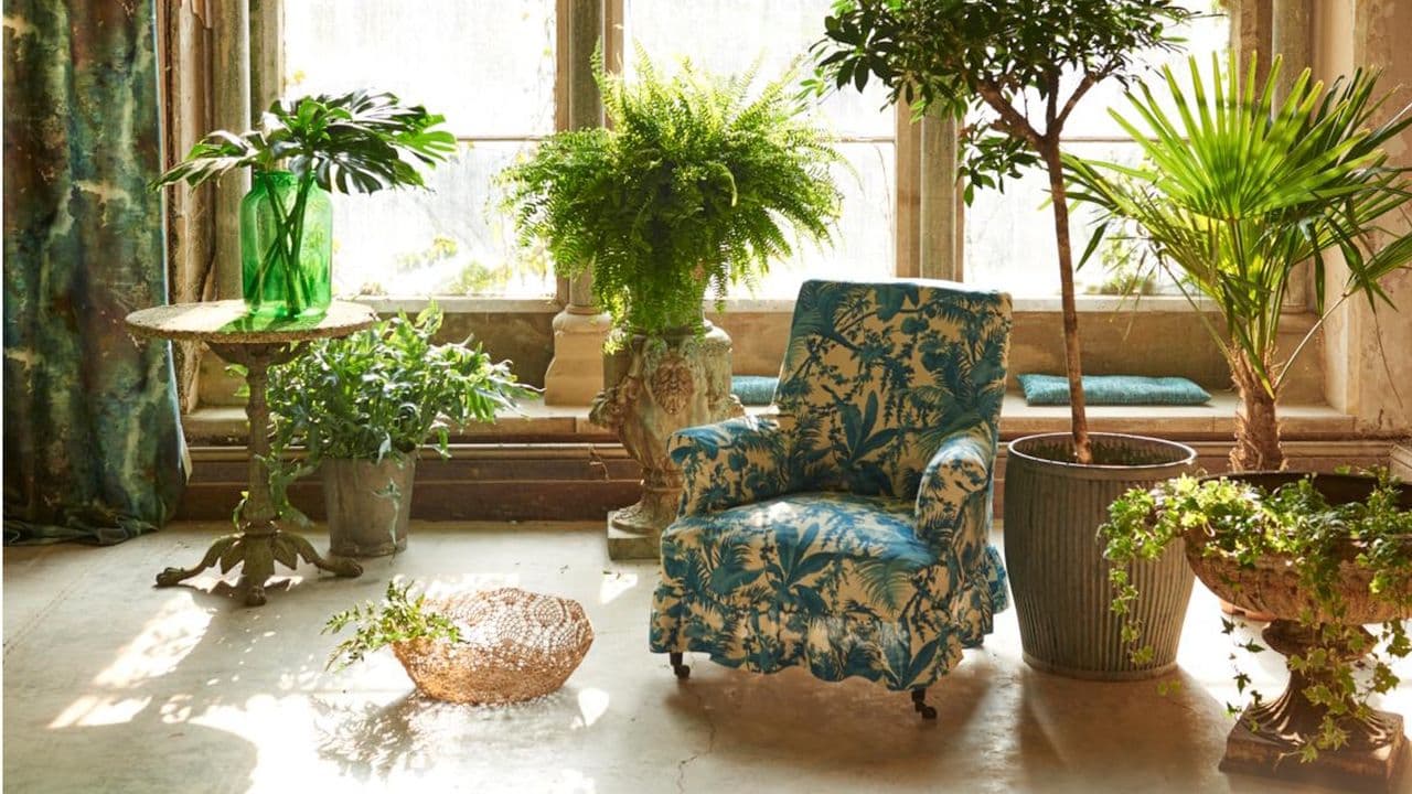 Interior Designers Swear by These 5 Tricks to Layer Houseplants – For a Lush Indoor Jungle in Your Living Room