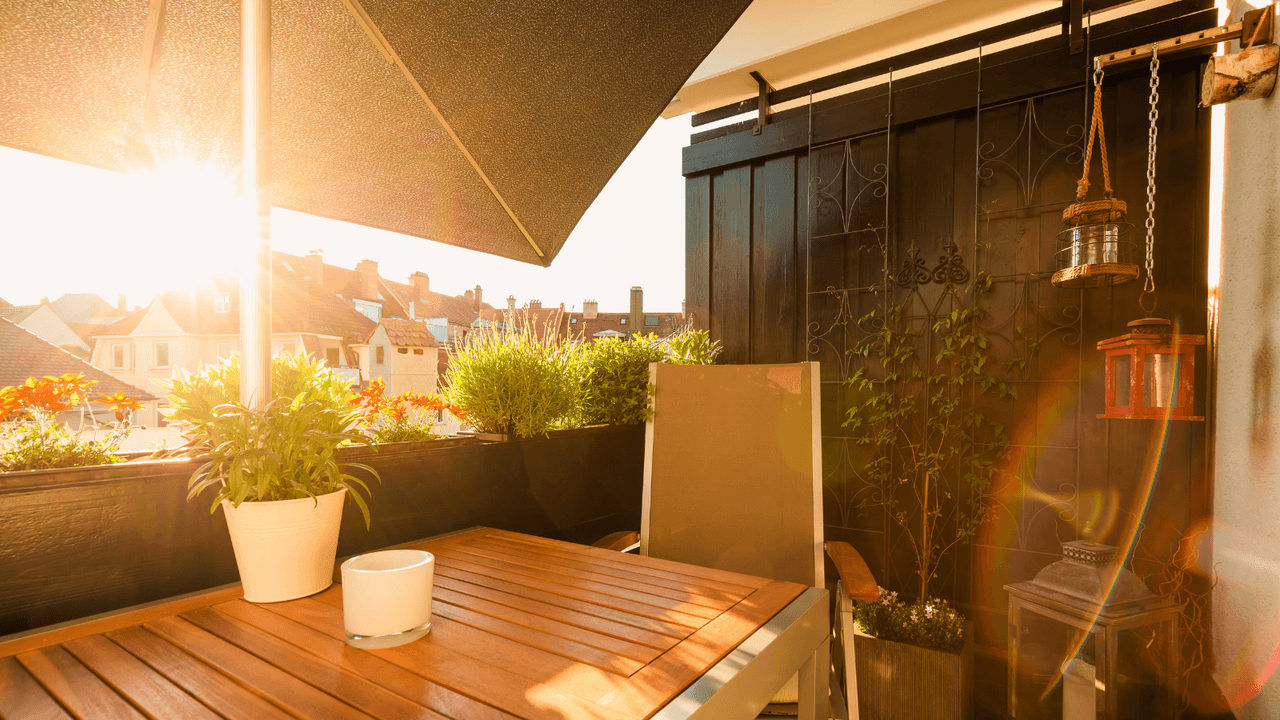 How to Cool Plants in the Summer Heat – Expert Ways to Reduce Stress on Your Shrubs and Flowers When Your Balcony Heats Up