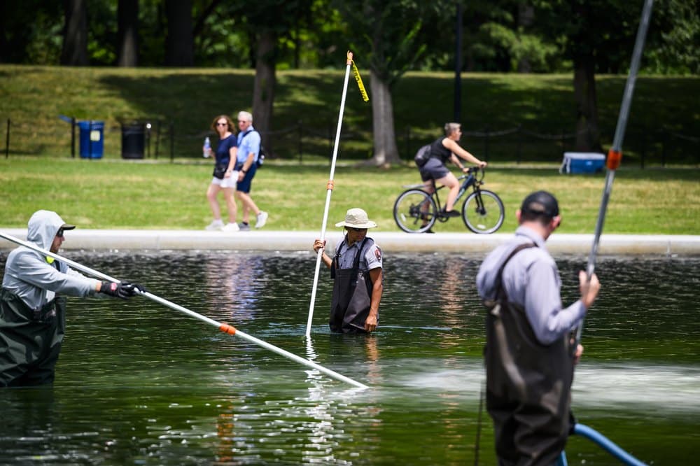 The DC Reflecting Pool May Need To Be Drained—Here's What Homeowners With Pools Should Know