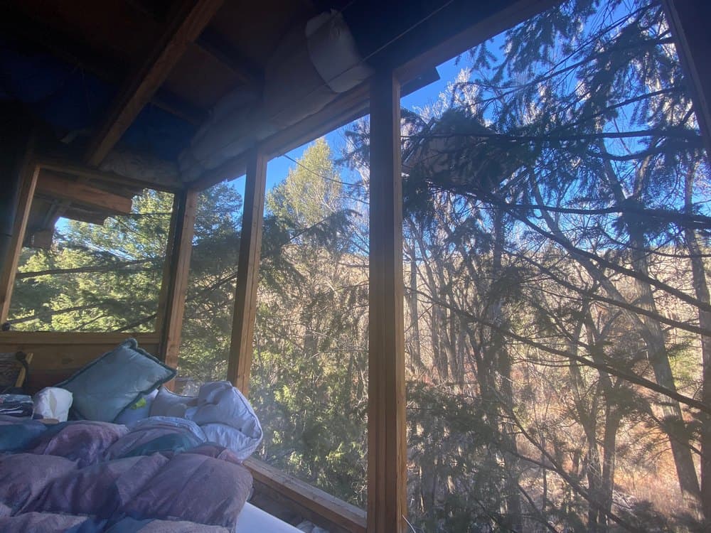 Aspen Treehouse Dweller Faces County Lawsuit Over His Nontraditional Home