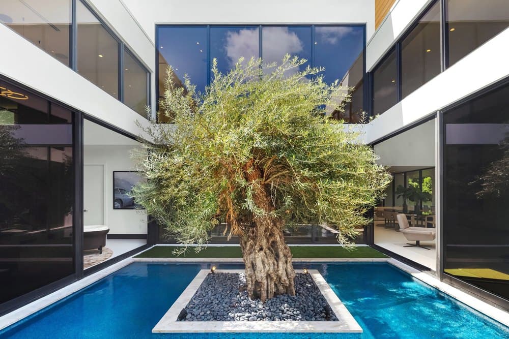 Dazzling Wellness Retreat Built Around a 125-Year-Old Olive Tree Hits the Market in Boca Raton for $11.5 Million