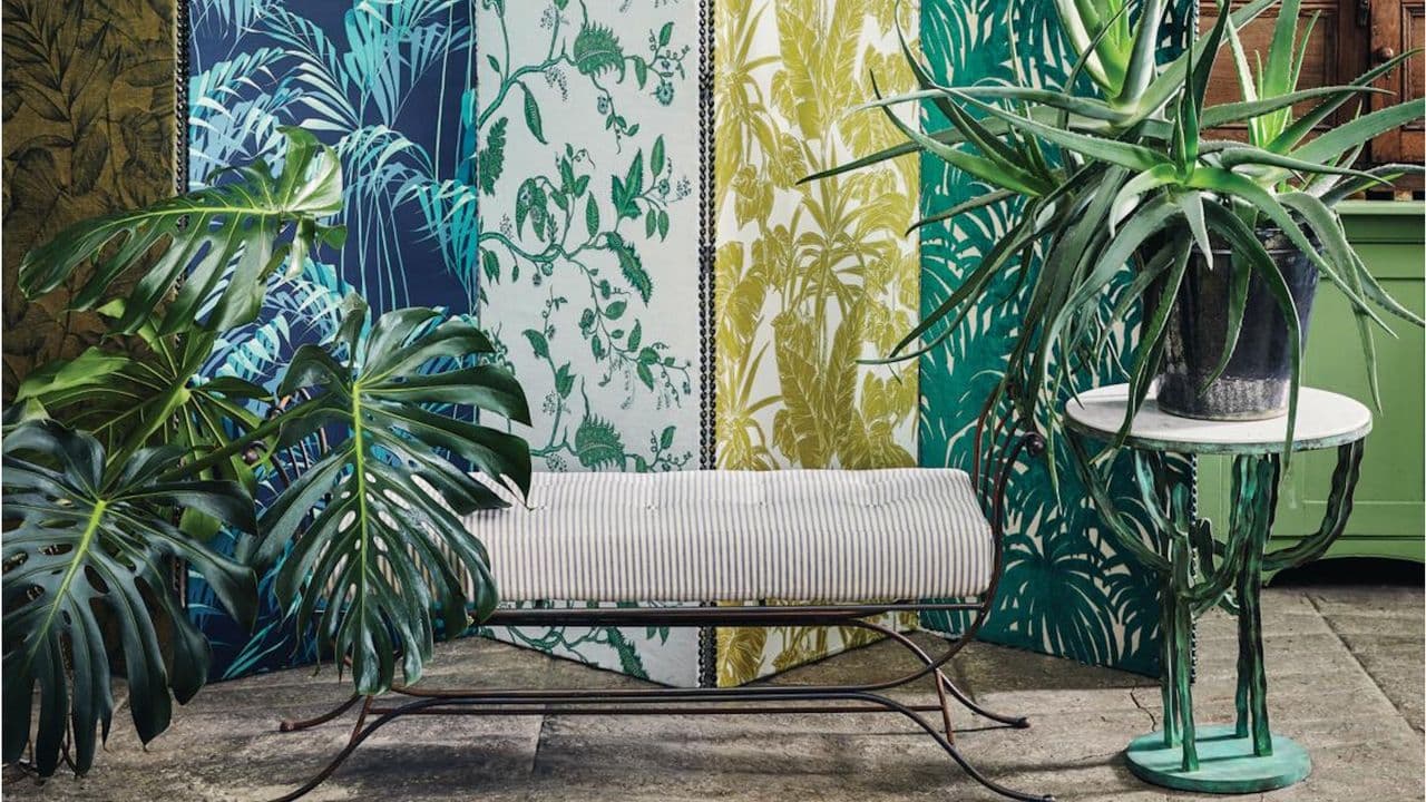 This Common Houseplant Mistake Stops Soil From Absorbing Water – Luckily, It's Easy to Fix