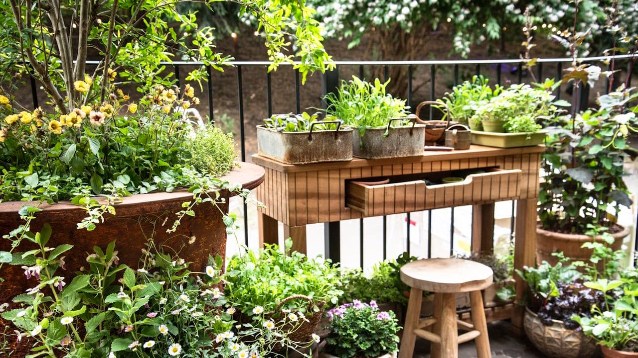 IKEA's 2-in-1 Chic Plant Stand is The Perfect Way To Zone a Balcony or Small Yard – And it Creates Instant Privacy