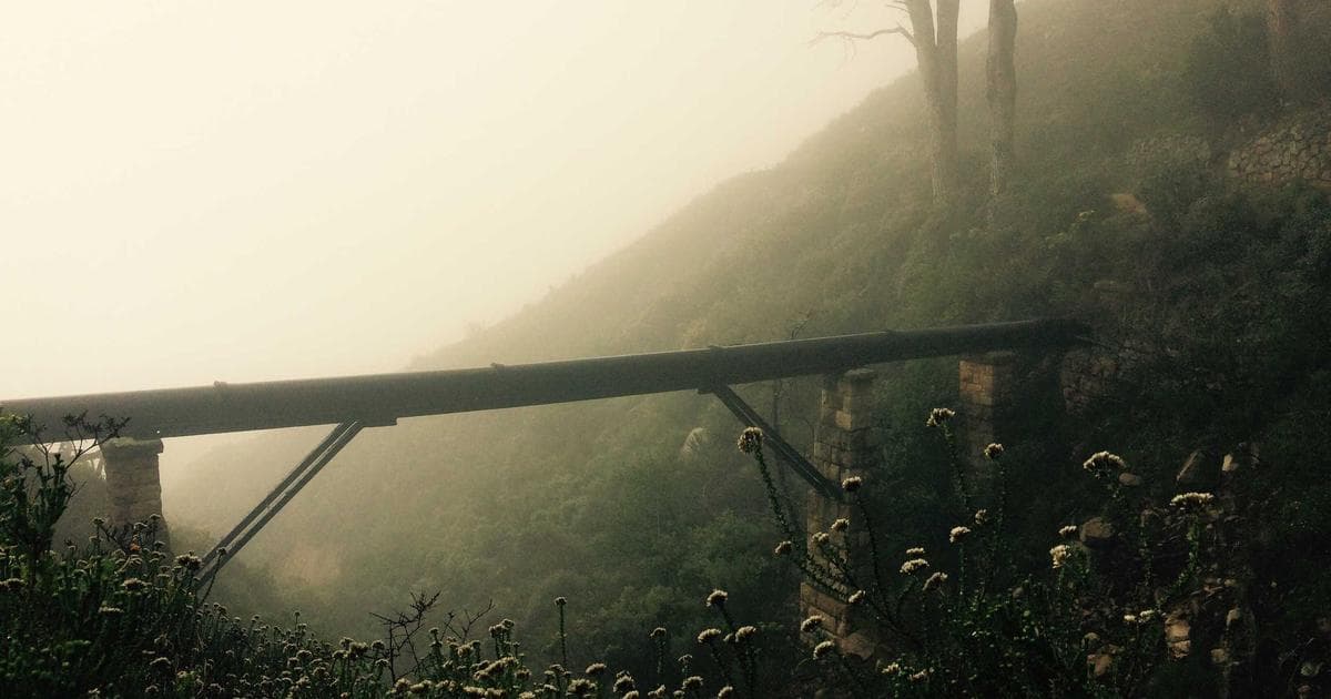 I Tried 5 Ways to Get Rid of Mosquitoes, and Here's What Happened