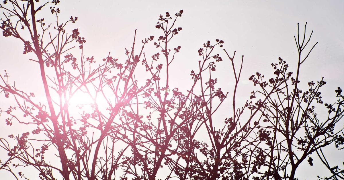 Mortgage Rates Stuck in Neutral as Spring Homebuying Season Draws to a Close
