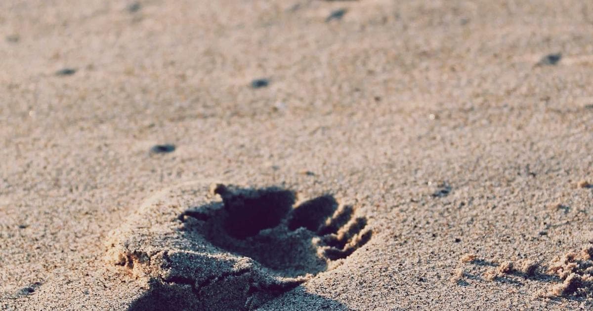 Time Between Offer and Exchange: Why It Now Takes 17 Weeks or More